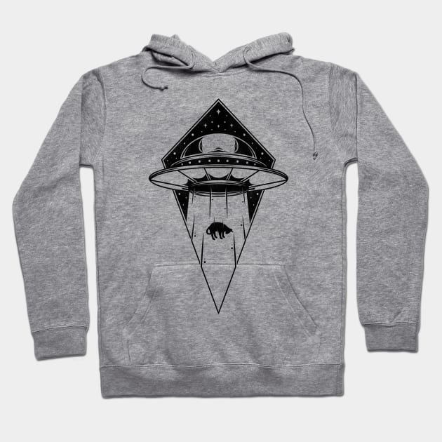 Space Cat Abduction Adventures Hoodie by Alundrart